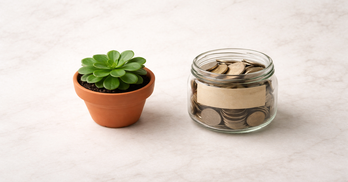 Small plant growing from a jar of savings representing the transition from budgeting to long-term wealth growth