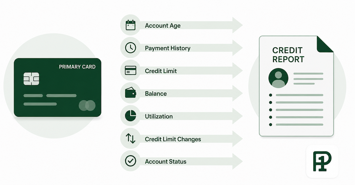 Pipeline diagram showing seven data fields that transfer from a primary credit card account to an authorized user's credit report — account open date, credit limit, balance, payment history, account status, account type, and issuer name — with arrows showing how each field feeds into FICO scoring factors